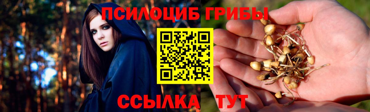 Десногорск  Псилоцибиновые грибы мухоморы  магазин продажи наркотиков  Вход с VPN 
